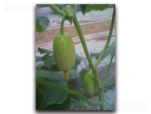 ��Ů-�S�ϷN��-���r(n��ng)�@ˇ