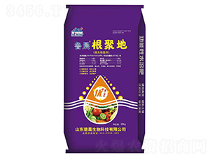 ΢�������-�������۵�-��������