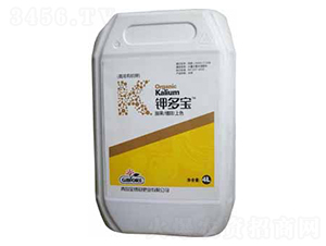 �ЙC(j��)��Ƅ�-⛶���-���J