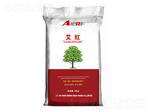 �������A��⛷�-���t-������