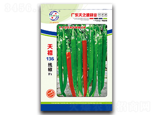 ����136����-�����N��-��֮Դ