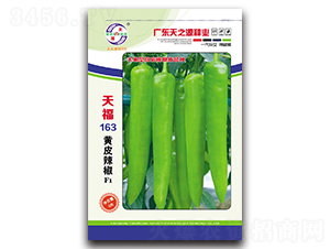 �츣163�SƤ����-�����N��-��֮Դ