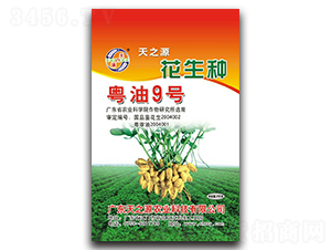 ����9̖(h��o)-�����N��-��֮Դ