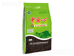 �VԴ�S�����-�Ї���-���i����