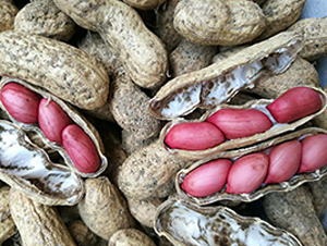 ���׼t-�����N��-�w���r�I(y��)