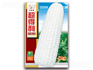 ������-���Ŵ���׷N��-�w���r(n��ng)�I(y��)