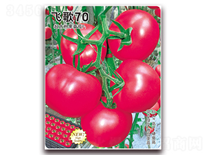 �w��70-���ѷN��-�w���r(n��ng)�I(y��)