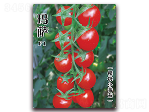 ���_-���ѷN��-�w���r(n��ng)�I(y��)