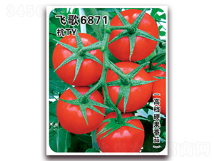 �w��6871-���ѷN��-�w���r(n��ng)�I(y��)