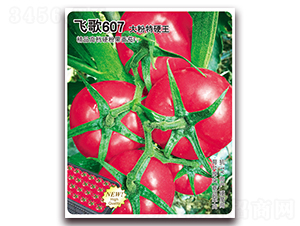 �w��607-���ѷN��-�w���r(n��ng)�I(y��)