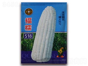 ��Ŵ518-��Ŵ���׷N��-���R�_(k��i)Ԫ