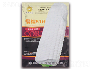 ��Ŵ516-�����Ŵ���׷N��-���R�_(k��i)Ԫ