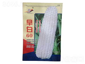 ���60-��Ŵ���׷N��-���R�_(k��i)Ԫ