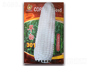 ���301-��Ŵ���׷N��-���R�_(k��i)Ԫ