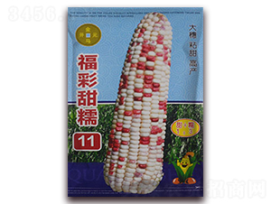 ������Ŵ11-���׷N��-���R�_(k��i)Ԫ