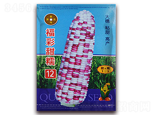 ������Ŵ12-���׷N��-���R�_(k��i)Ԫ