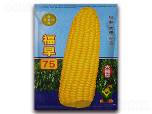 ����75-���׷N��-���R�_(k��i)Ԫ