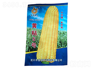 �Sճ5̖-���׷N��-���R�_Ԫ