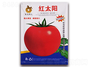 �t̫�-�۹����ѷN��-���R�_Ԫ