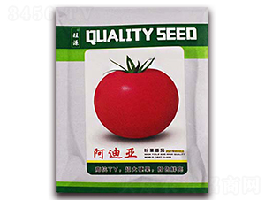 ���ρ�-���ѷN��-���R�_Ԫ