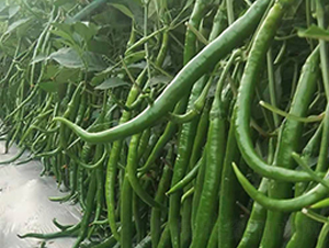 �M(j��n)�ھ����N��-���R�_Ԫ