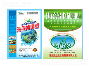 ����_ʩ��-�P����