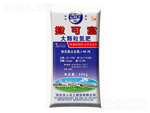 ���w������-���ɸ�-�춦