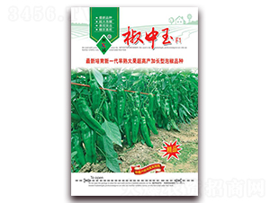 ������-�ݽ��N��-ʒ�\(ch��ng)