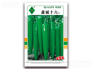 ʒ�\(ch��ng)ʮ��-�⽷�N��-ʒ�\(ch��ng)