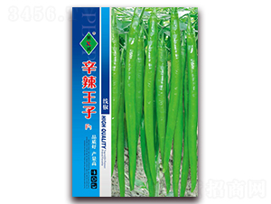 ��������-�����N��-ʒ�\(ch��ng)