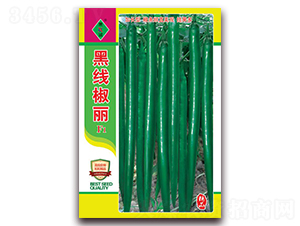 �ھ�����-�����N��-ʒ�\(ch��ng)