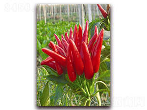 ���콷�N��-ʒ�\(ch��ng)