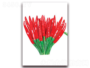 �n��(gu��)�쌚-���콷�N��-ʒ�\(ch��ng)