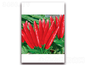 ����̖(h��o)-���콷�N��-ʒ�\(ch��ng)