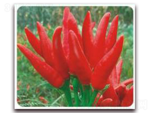 �n������-���콷�N��-ʒ�\