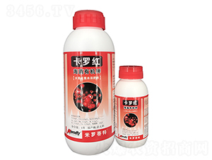 �����ЙC(j��)�-���_�t-��(y��u)��˼