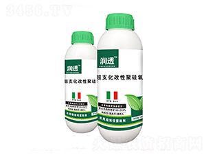 ��͸-��(y��u)��˼