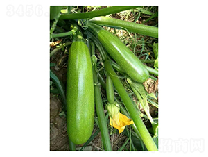 ����S306-�����J�N��-��V�r�I(y��)