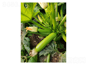 �G��һ̖-�����J�N��-��V�r�I(y��)