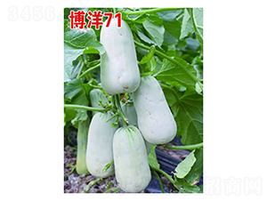 ����71-��ϷN��-��V�r(n��ng)�I(y��)