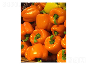 �����Z-�����N��-��V�r(n��ng)�I(y��)