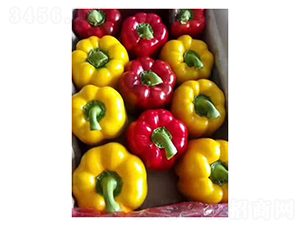 �����Z-�����N��-��V�r(n��ng)�I(y��)