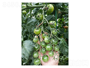 �Gɫ���ҷ���-���ѷN��-��V�r�I(y��)