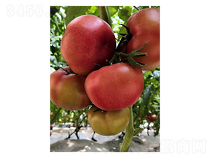 ��۷�-5-���ѷN��-��V�r�I(y��)