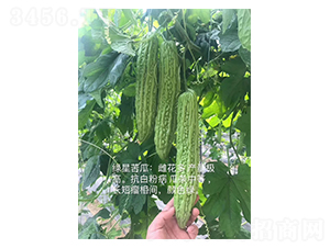 �G��-��ϷN��-��V�r(n��ng)�I(y��)