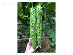 �|�L(f��ng)-��ϷN��-��V�r(n��ng)�I(y��)