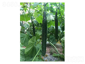 ������D19-�S�ϷN��-��V�r(n��ng)�I(y��)