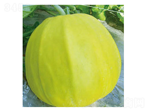 ����-��ϷN��-���؈@ˇ