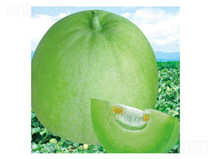 ������-��ϷN��-���؈@ˇ