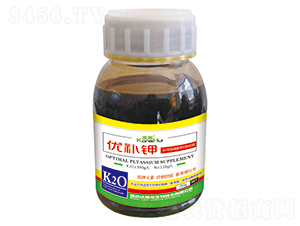 ��(y��u)�a�-�ֵ���